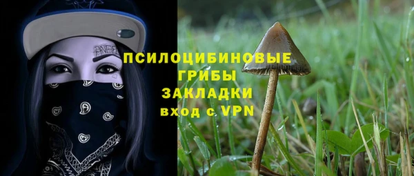 герыч Вяземский