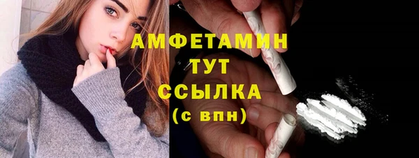 PSILOCYBIN Вязники